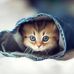 Cheryl Grenier - Facebook