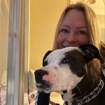 Cheryl Grenier Harrison - @cherylgrenierharrison - Instagram
