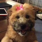 Cheryl Gross - @cherylgross23 - Instagram