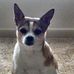 Cheryl Hager - Facebook