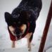 Cheryl Hager - Facebook