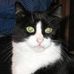 Cheryl Kingen Halverson - Facebook