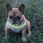 Cheryl Hamlin - Facebook