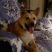 Cheryl Handy - Facebook