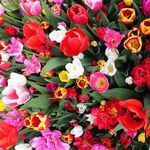Cheryl Hanks - @macski_79 - Instagram