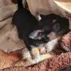 Sheryl Hanks - @sheryhanks - TikTok
