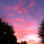 Cheryl Harmon Sterling - @clh_sterling - Instagram