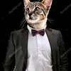 CherylHarmon - @emmeryhxr4c - TikTok