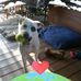 Cheryl Hazelton - Facebook