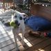 Cheryl Hazelton - Facebook