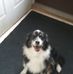 Cheryl Hedlund - Facebook