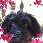Cheryl Heroux - @herouxcheryl - Instagram