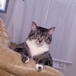 Cheryl Higgins - @cherylhiggins627 - Instagram