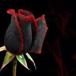 Cheryl Higgins - @higgins.cheryl - Instagram