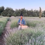 Cheryl Hildreth - @onlypea55 - Instagram