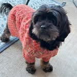 Cheryl Hixson - @maxandallie123 - Instagram