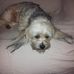 Cheryl Hodge - Facebook