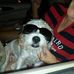 Cheryl Hoffman - Facebook