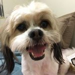 Cheryl Holder - @hcheryl32 - Instagram