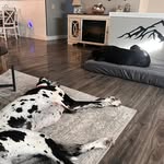 Cheryl Windham Hope - @cheryl.hope.739 - Instagram