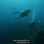 Cheryl Irwin - @cherylirwin13 - Instagram