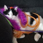 Cheryl Irwin - @patch_41719 - Instagram