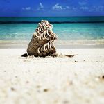 Cheryl Irwin - @irwin_cheryl - Instagram