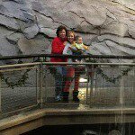 Cheryl Irwin - @cherylirwin52 - Instagram