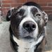 Cheryl Irwin - Facebook