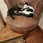 Cheryl Isbell - Facebook