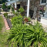 Cheryl Janes - @cherylannjanes63 - Instagram