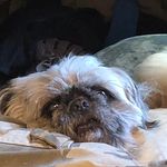 Cheryl Janes Rioch - @janesrioch - Instagram