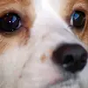 charley - @cheryljarrett8 - TikTok