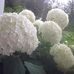 Cheryl Jarrett - Facebook