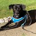 Cheryl Jeffries - Facebook