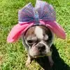 Cheryl Jeffries - @cheryl.jeffries5 - TikTok
