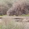 Cheryl Jensen - @cheryl.jensen68 - TikTok