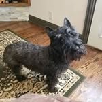 Cheryl Jensen - @cheryl.jensen.7798 - Instagram
