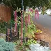 Cheryl Jenson - @cheryl.jenson2 - TikTok