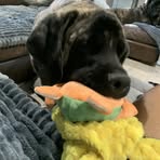 Cheryl Kaufman - Facebook