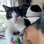 Cheryl Kaufman - @cheryl125lynn - Instagram