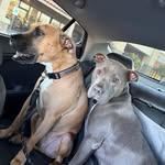 Cheryl Kaufman - @cherylkaufman22 - Instagram