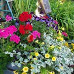 Cheryl Kaufmann - @cheryl.kaufmann.37 - Instagram