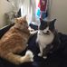 Cheryl Keller - Facebook
