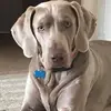cherylstrzalkakeller - @cherylstrzalkakeller - TikTok