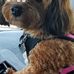 Cheryl Key - Facebook
