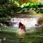 Cheryl Key - @cherylkey77yahoo.com_ - Instagram