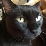 Cheryl Bartland Keyes - @keyes3483 - Instagram