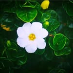 Cheryl - @cherylkielerphotography - Instagram
