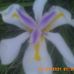 Cheryl Kissell - Facebook
